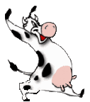 la vache foole